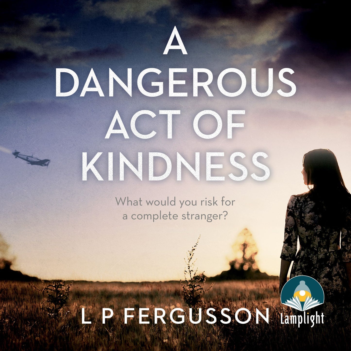 A Dangerous Act of Kindness: What would you risk for a complete stranger?