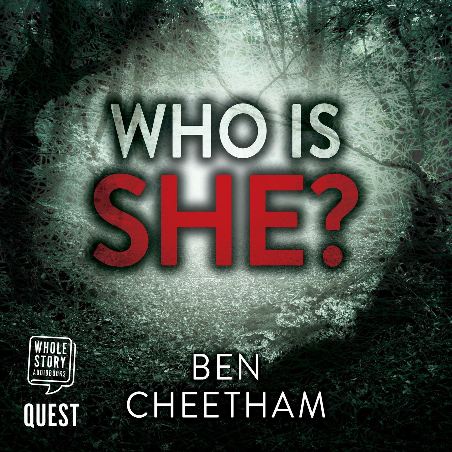 Who Is She?: Jack Anderson, Book 2