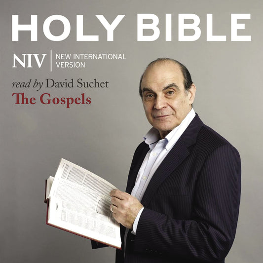 NIV Holy Bible: The Gospels