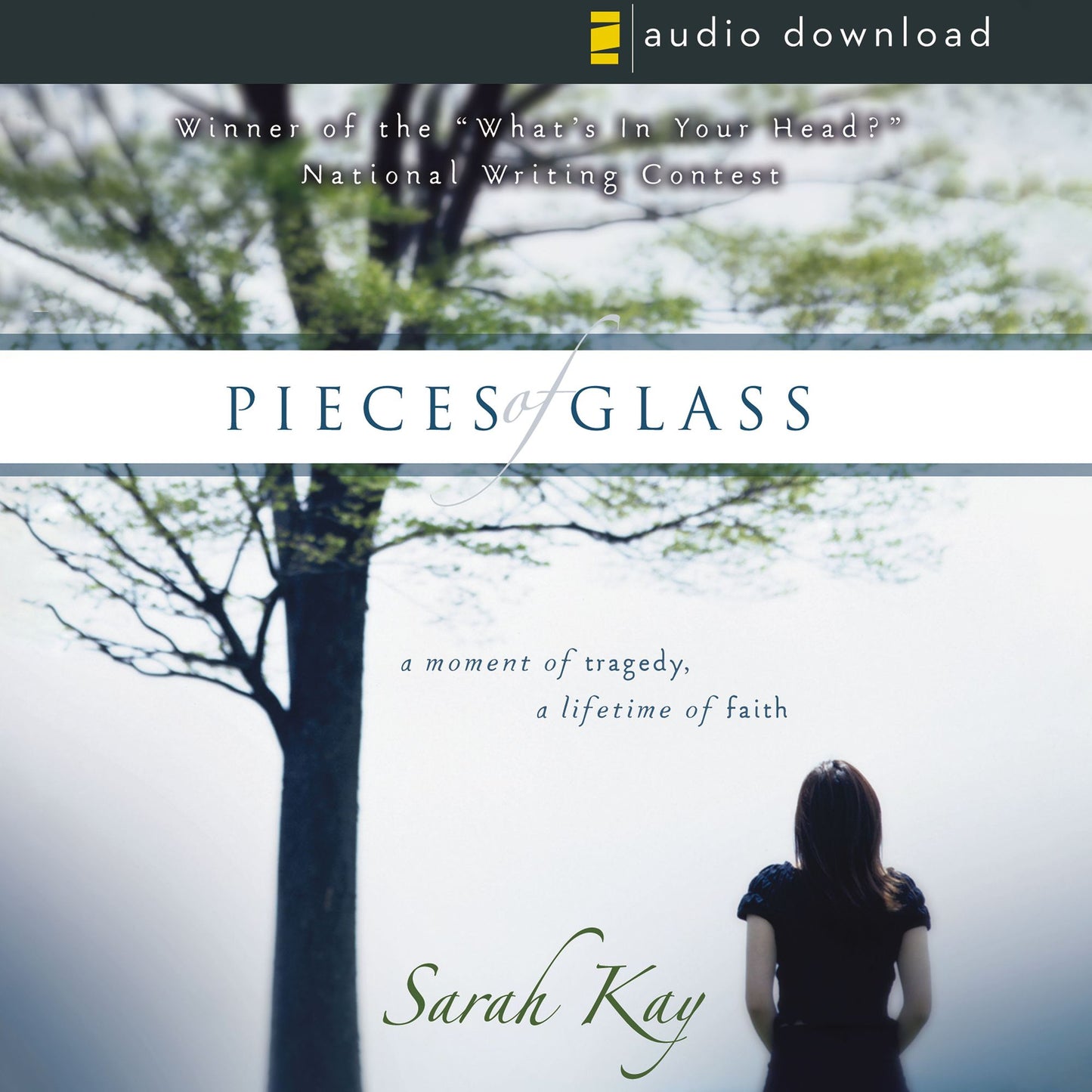 Pieces of Glass: A Moment of Tragedy, a Lifetime of Faith