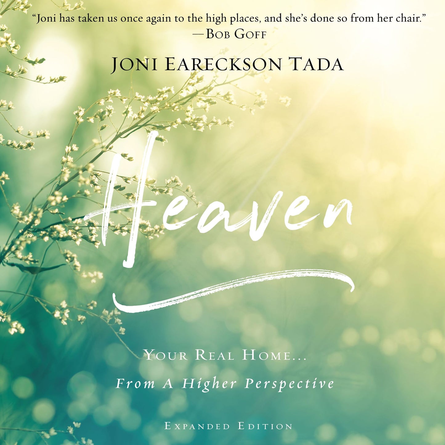 Heaven: Your Real Home...From a Higher Perspective