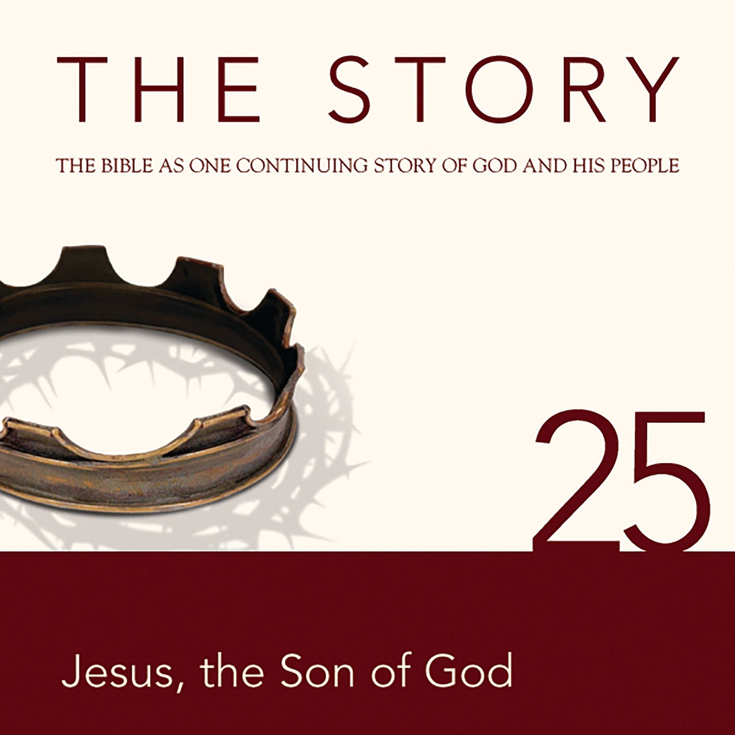 The Story, NIV: Chapter 25 - Jesus, the Son of God: The Bible as One Continuing Story of God and His People
