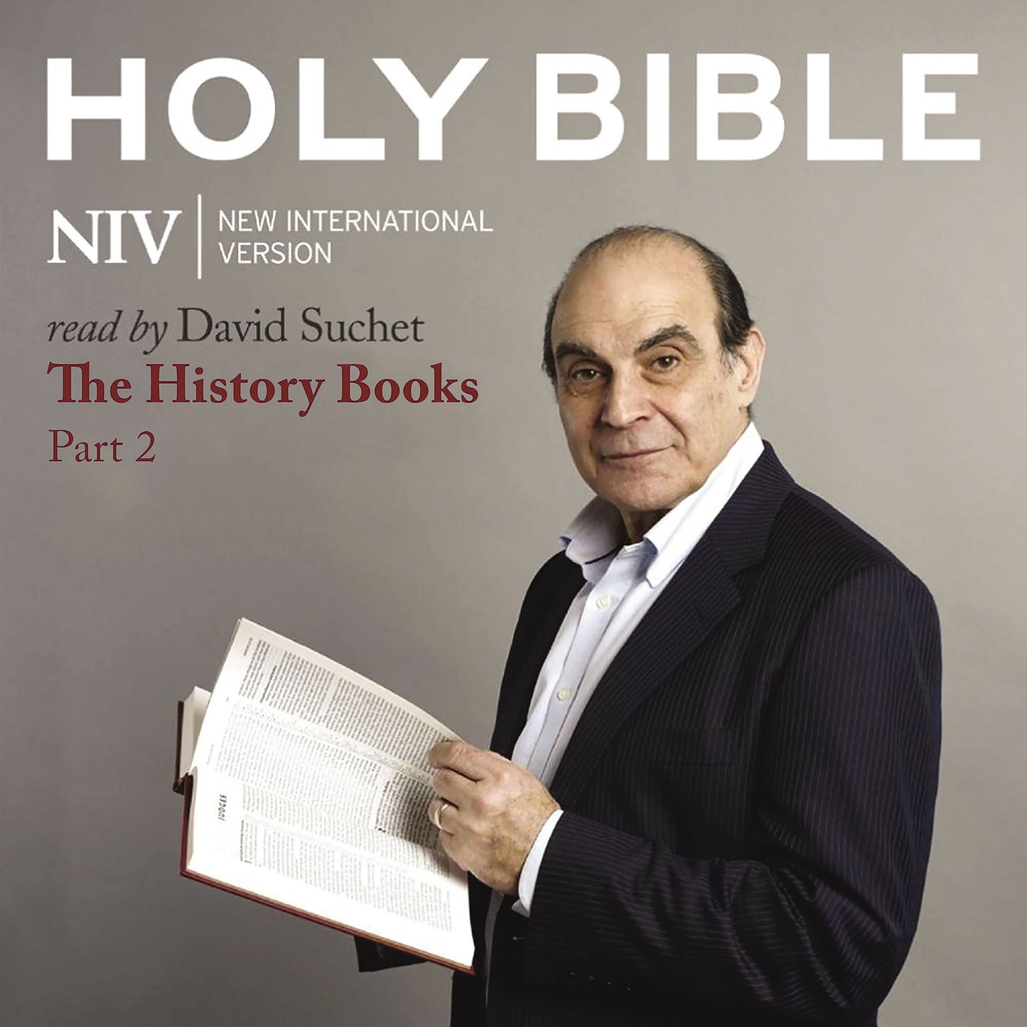 NIV Holy Bible: The History Books Part 2