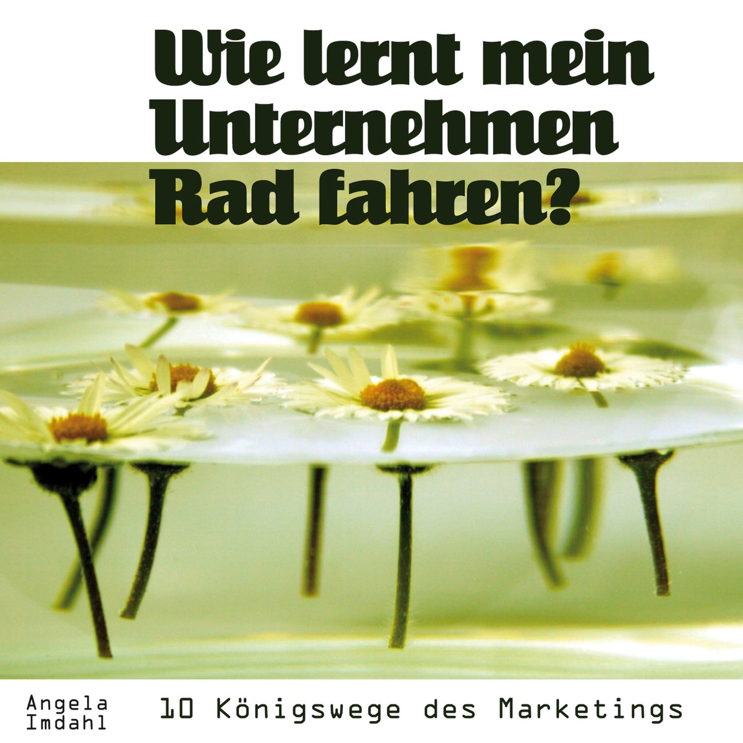 Wie lernt mein Unternehmen Rad fahren?: 10 Königswege des Marketings (Abridged)