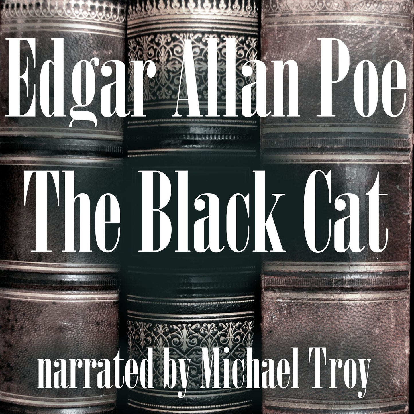The Black Cat