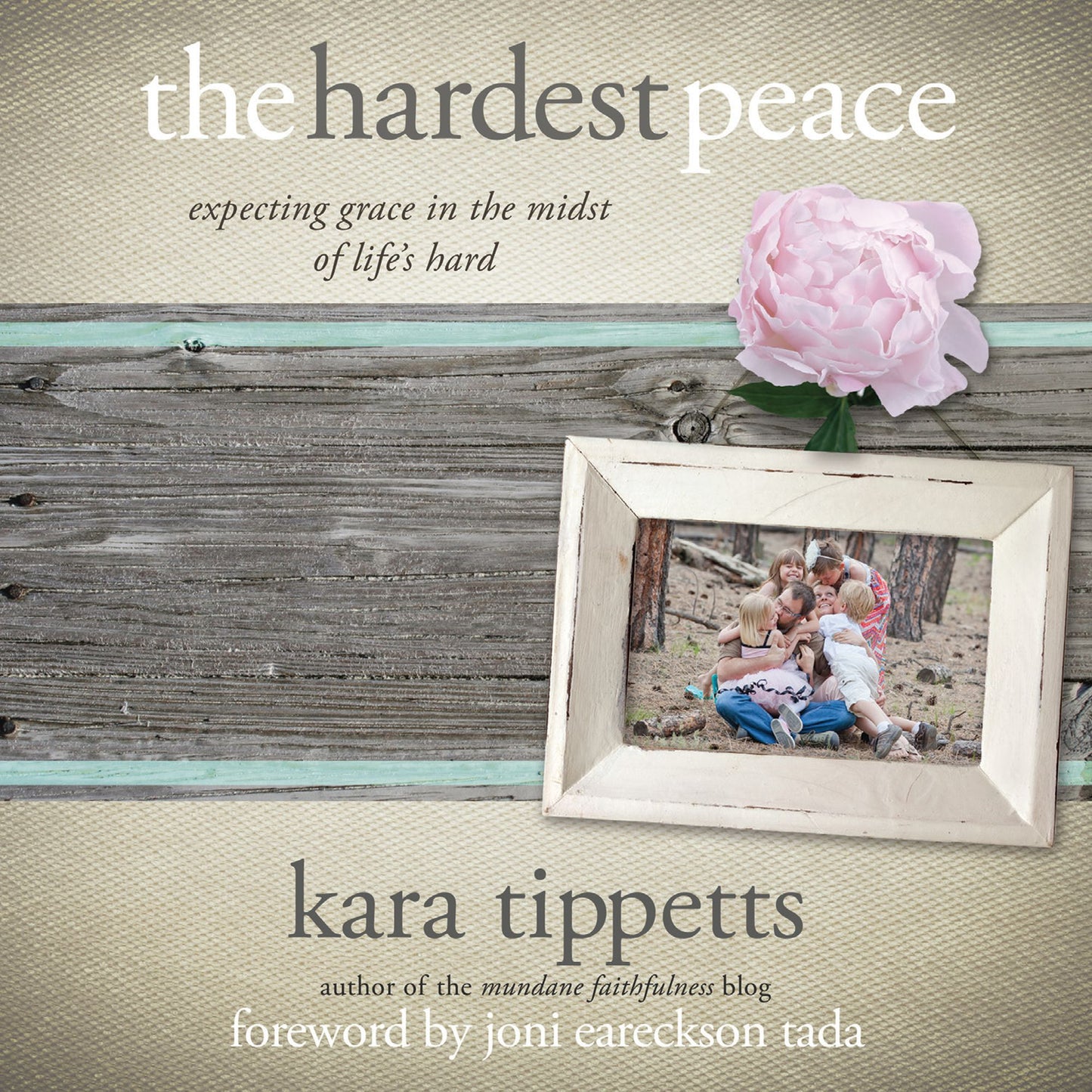 The Hardest Peace : Expecting Grace in the Midst of Life's Hard