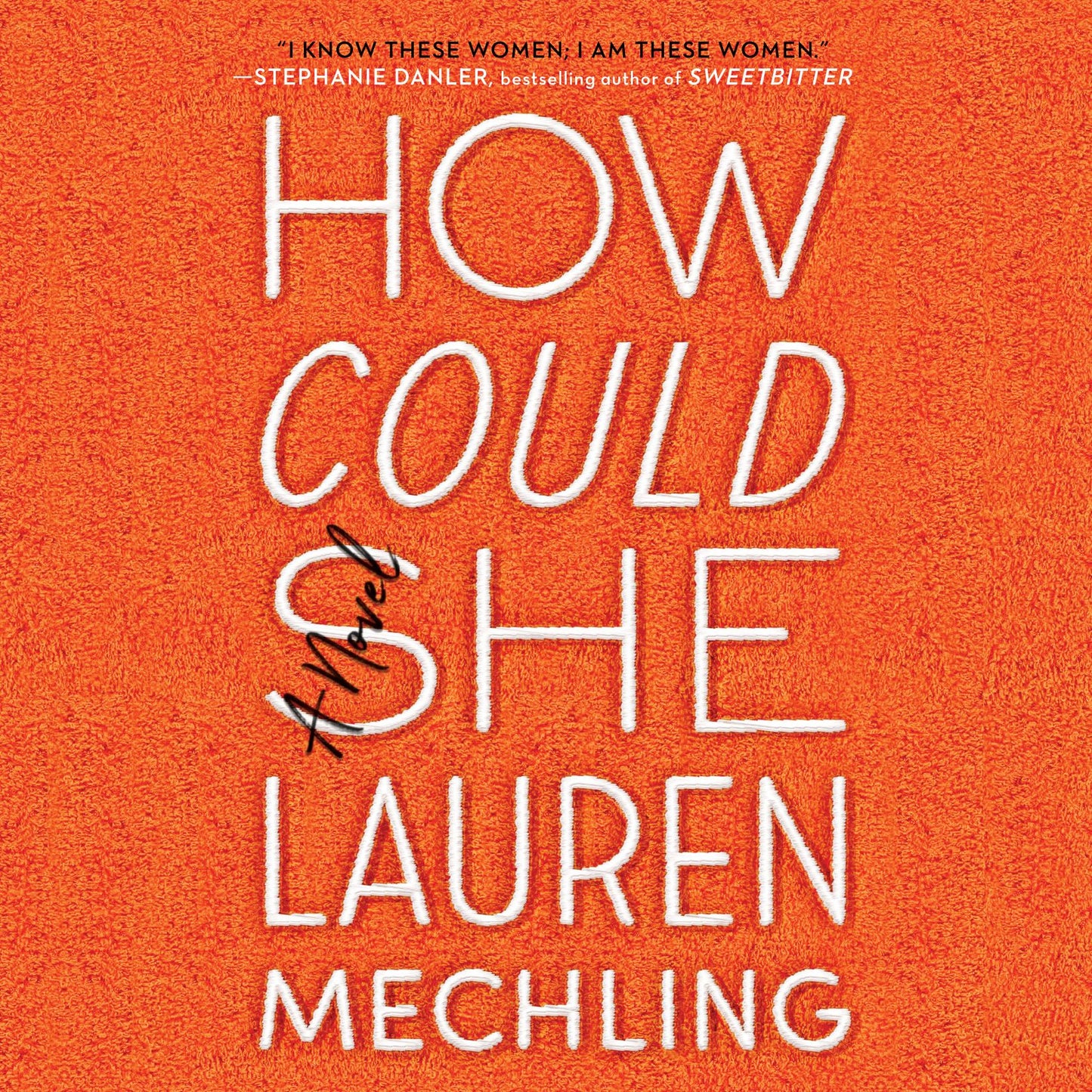 How Could She : A Novel