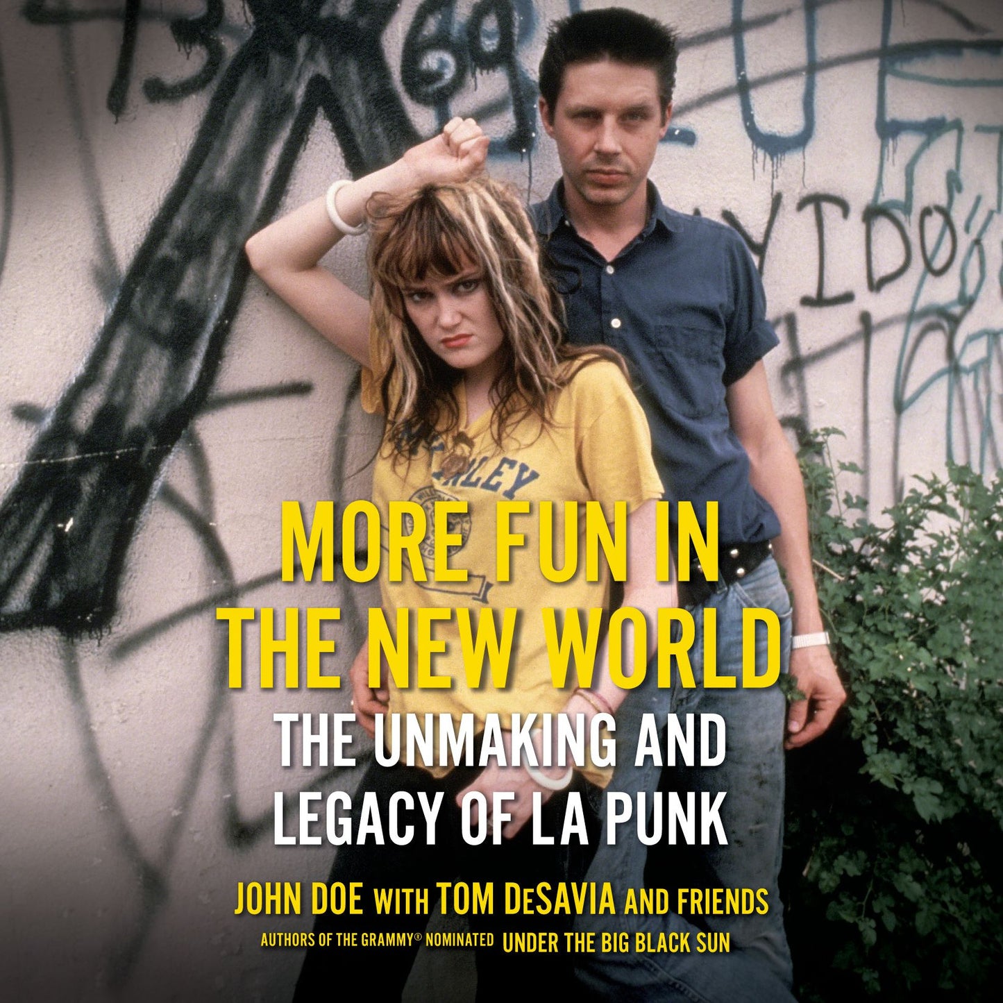 More Fun in the New World : The Unmaking and Legacy of L.A. Punk