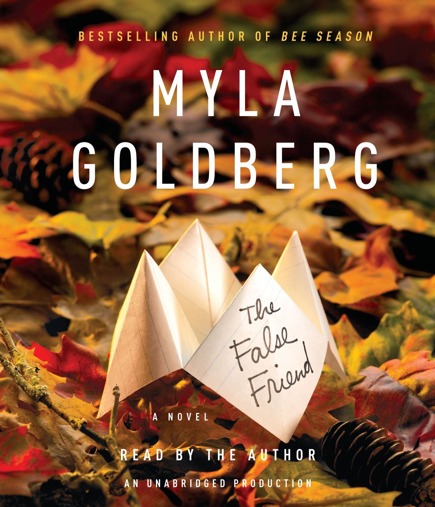 The False Friend: A Novel