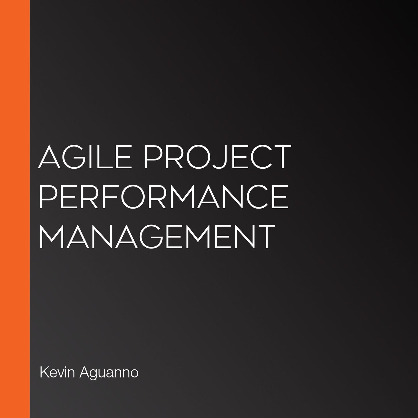 Agile Project Performance Management