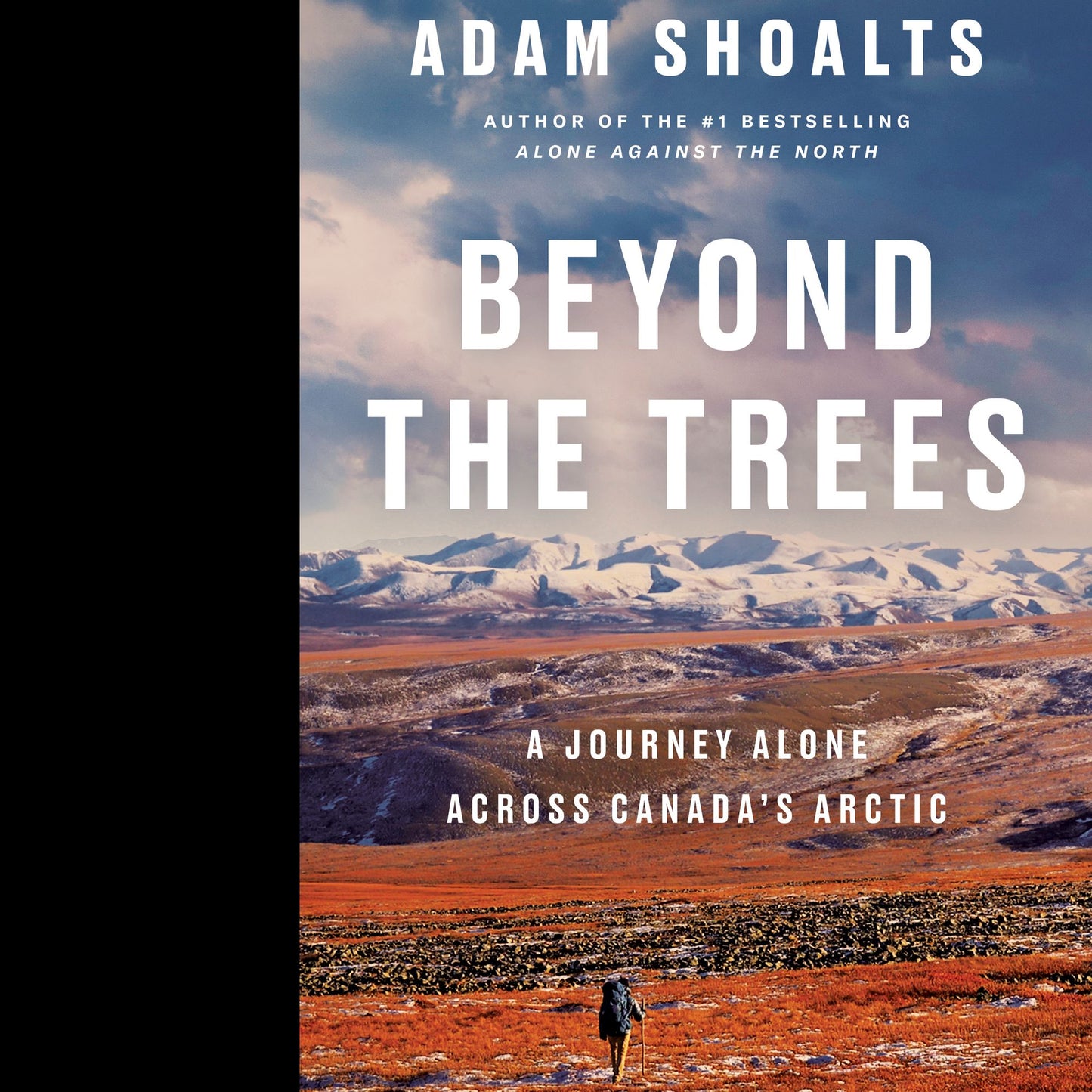 Beyond the Trees : A Journey Alone Across Canada's Arctic