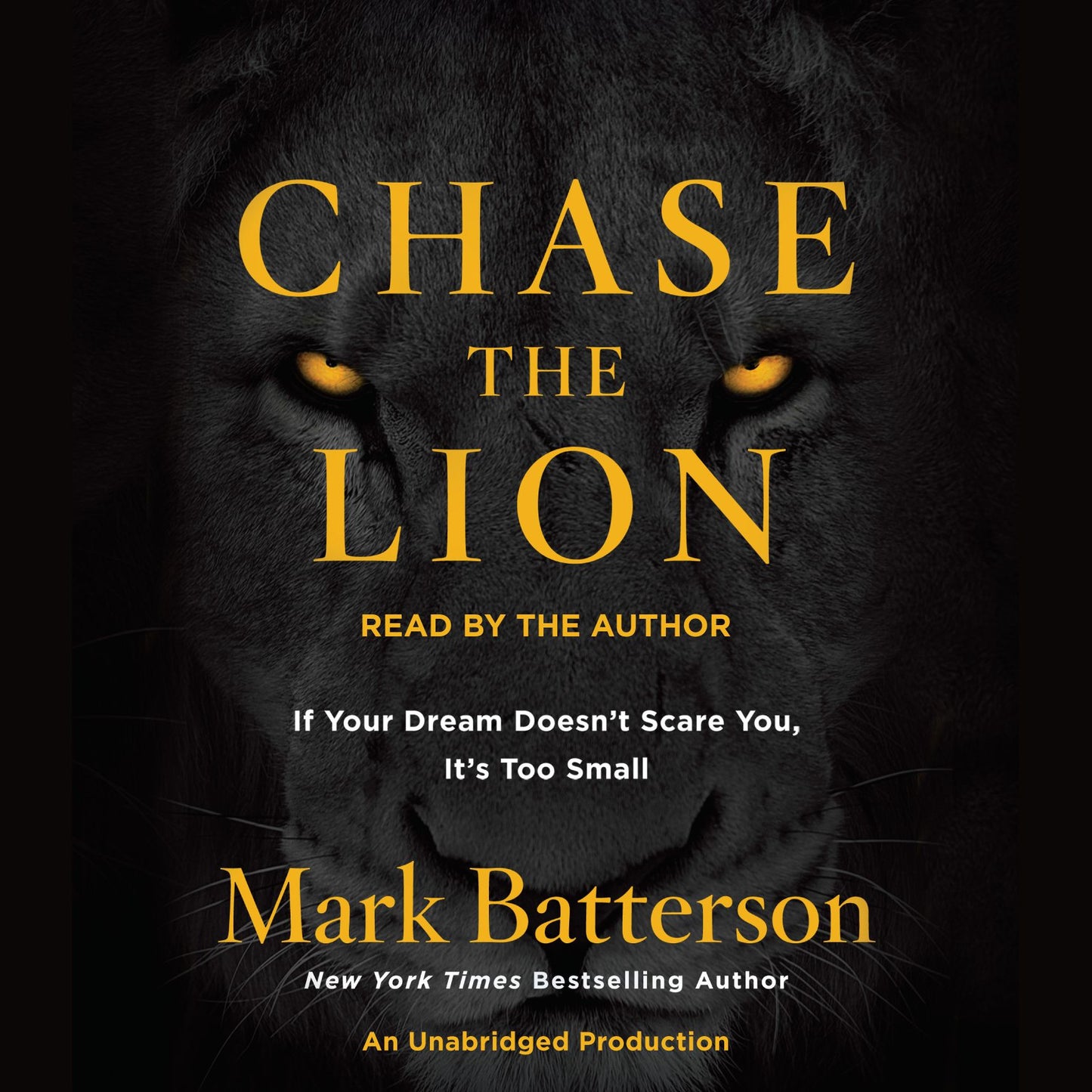 Chase the Lion : If Your Dream Doesn't Scare You, It's Too Small