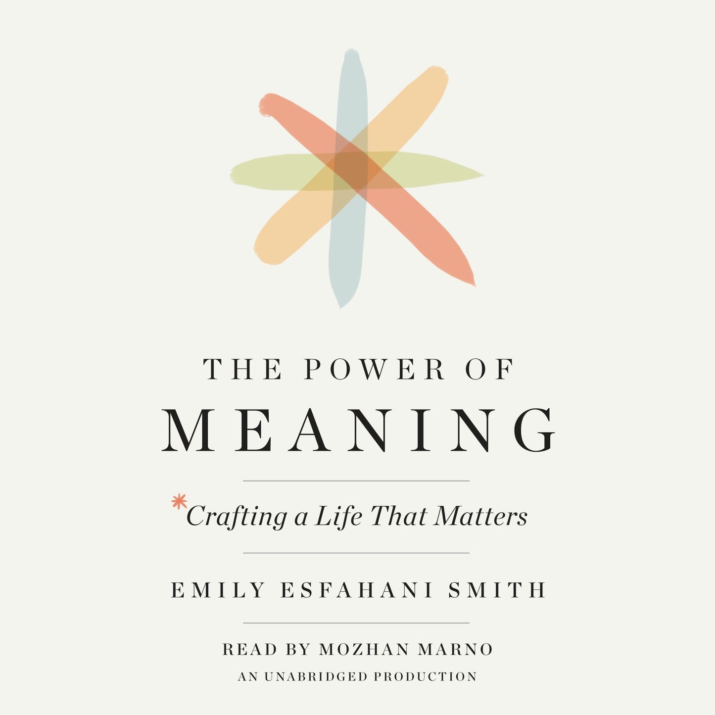 The Power of Meaning : Crafting a Life That Matters