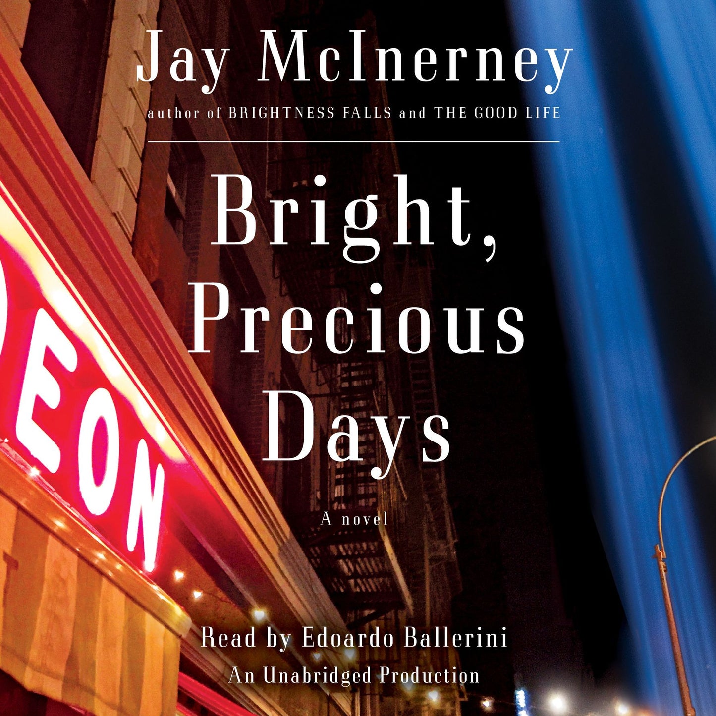 Bright, Precious Days: A Novel