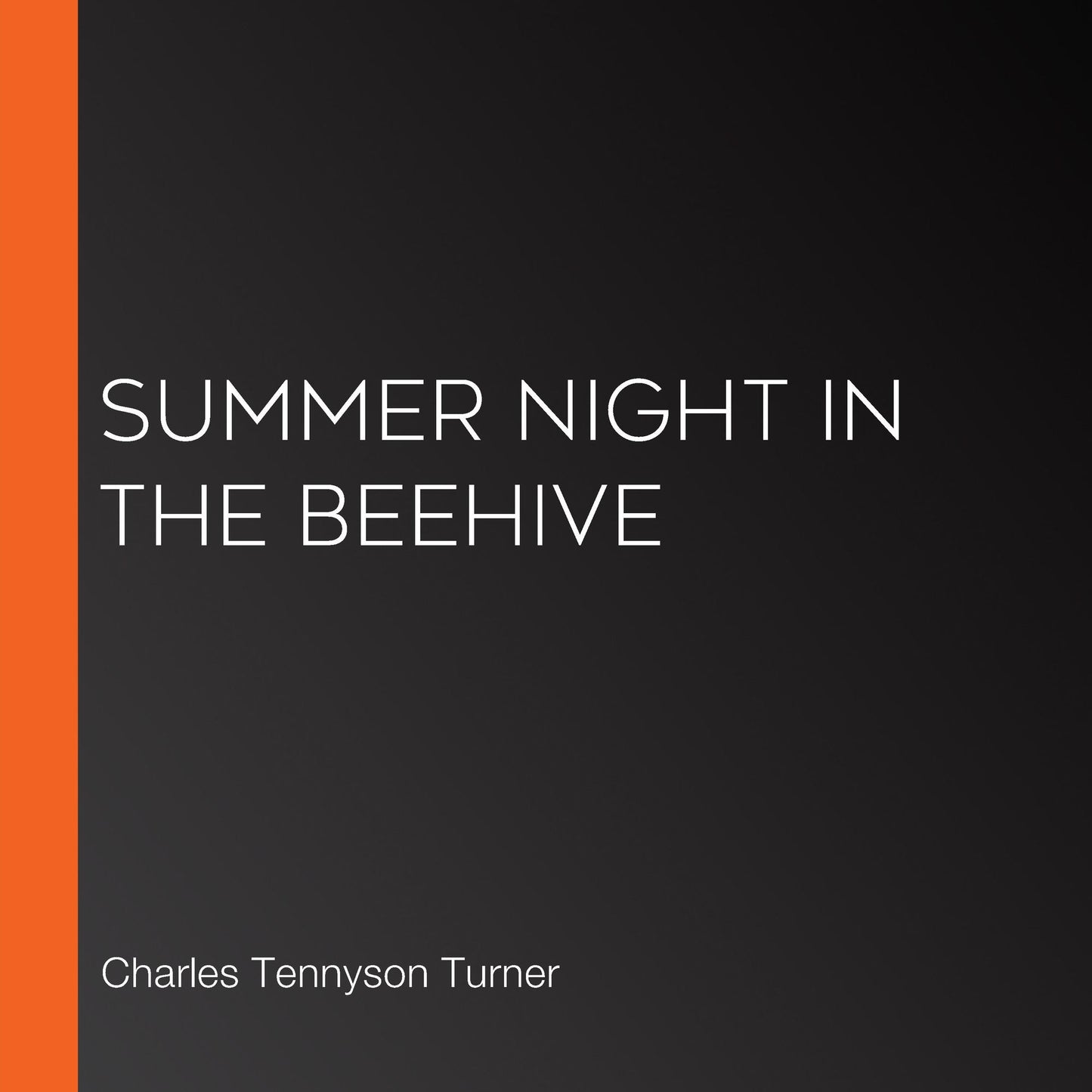 Summer Night in the Beehive