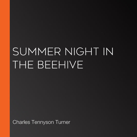 Summer Night in the Beehive