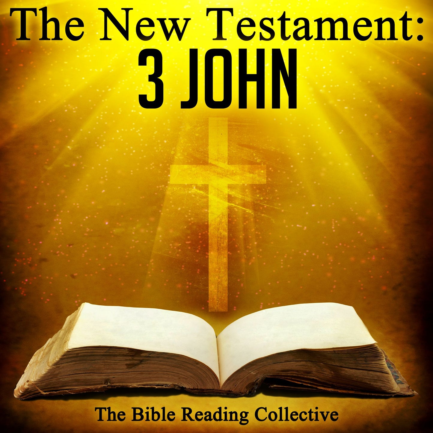 The New Testament: 3 John