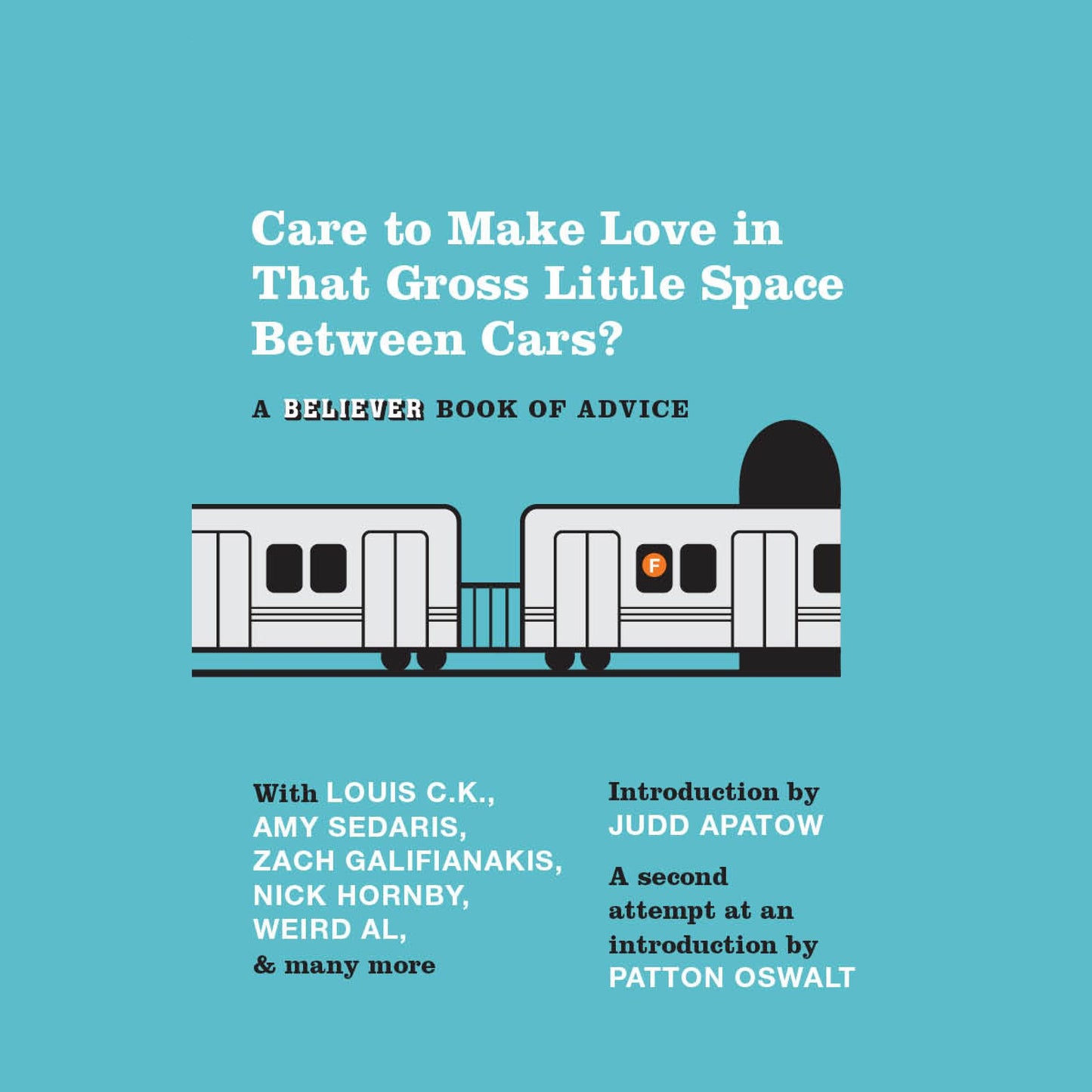 Care To Make Love In That Gross Little Space Between Cars?: A Believer Book of Advice