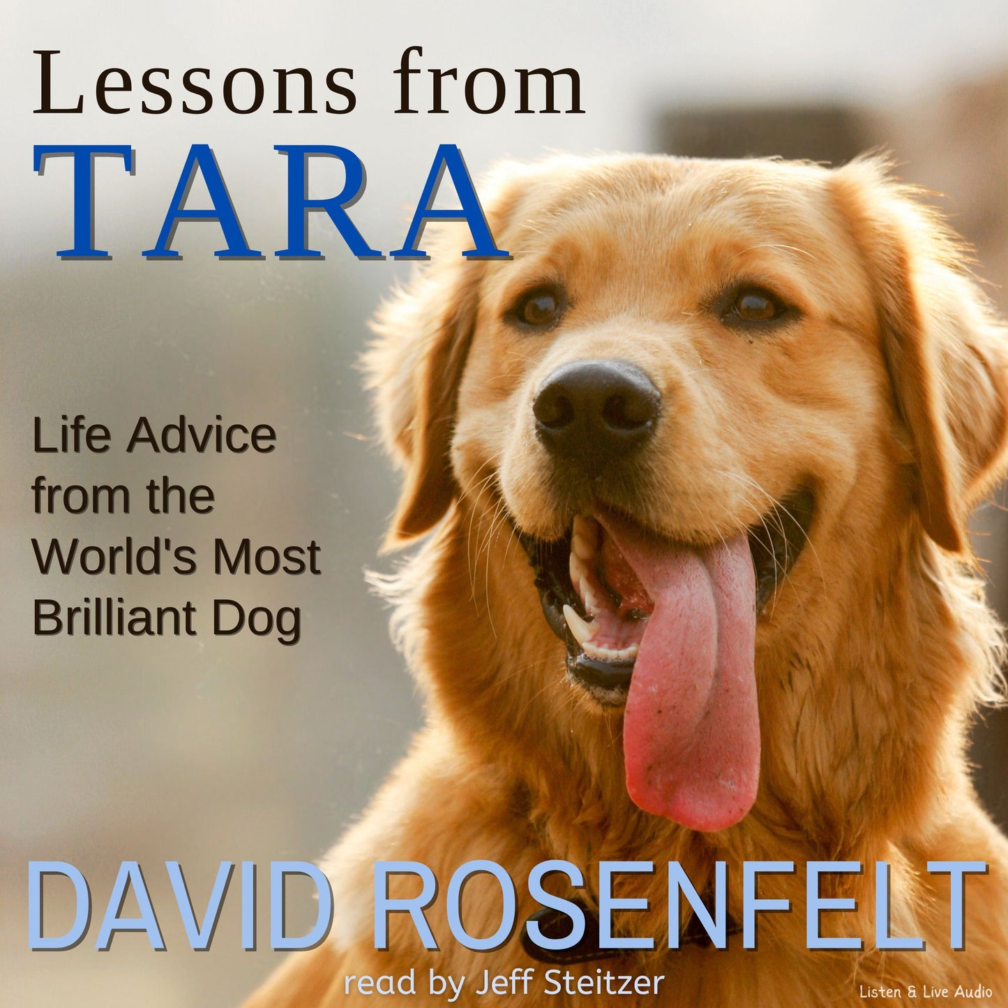 Lessons from Tara : Life Advice from the World's Most Brilliant Dog