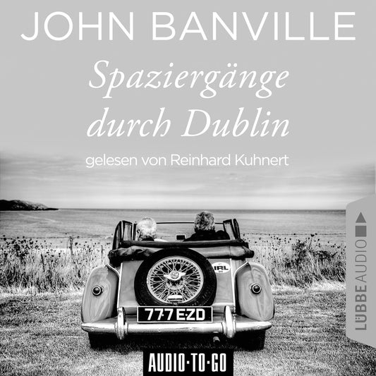 Spaziergänge durch Dublin
