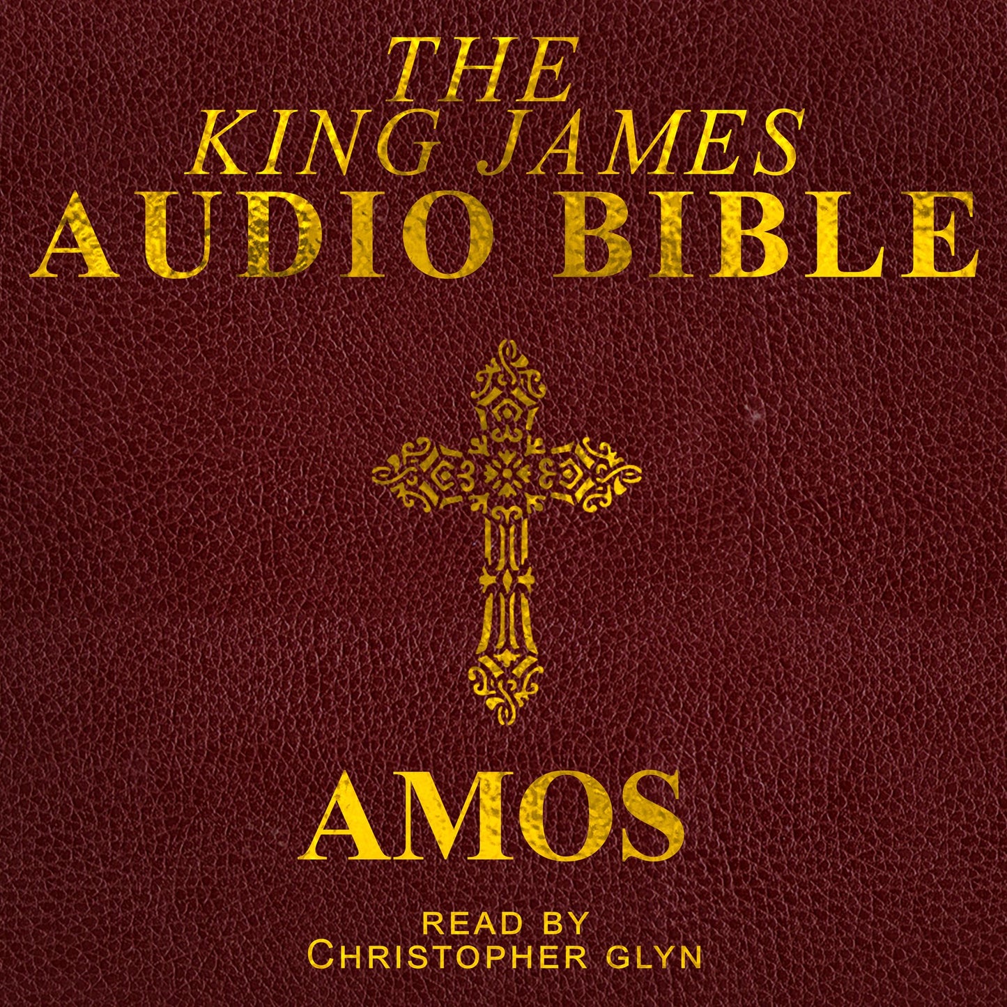 The Audio Bible: Amos: The Old Testament