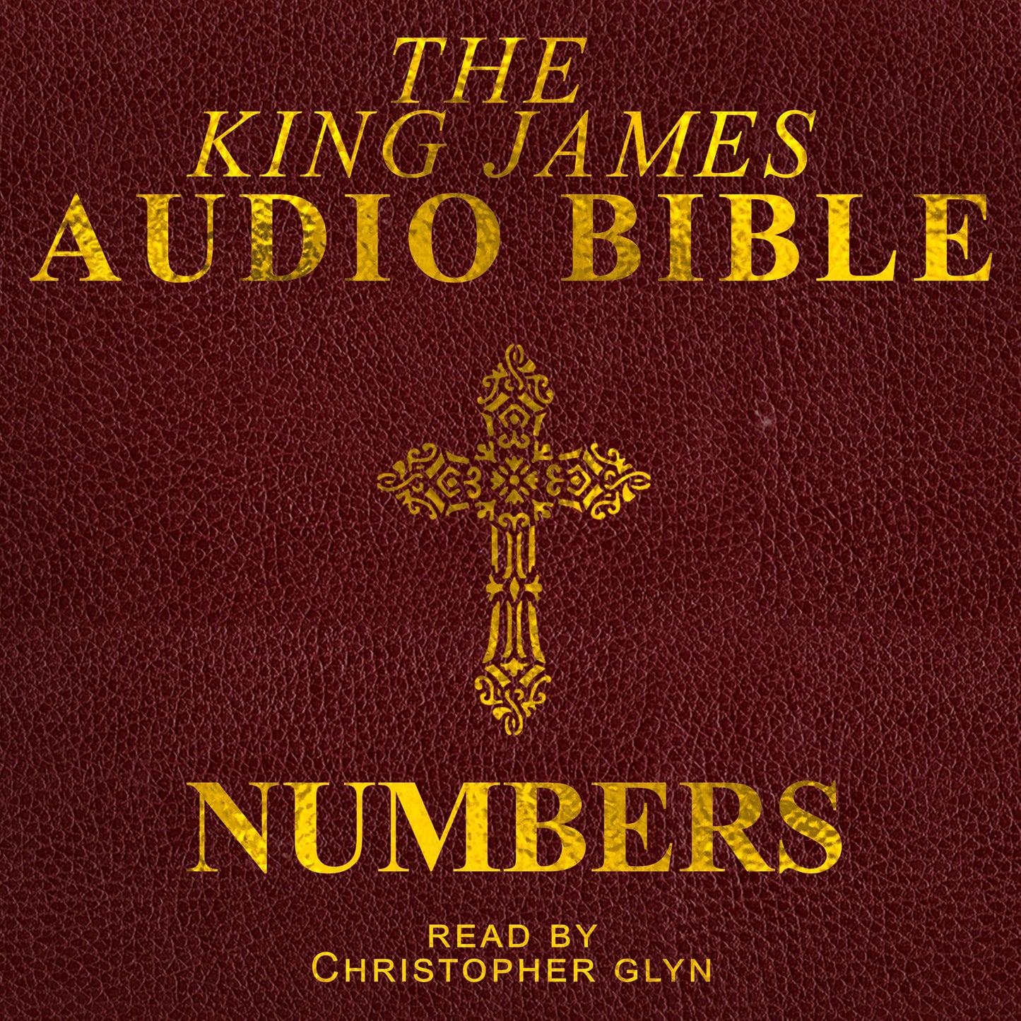 The Audio Bible: Numbers: The Old Testament