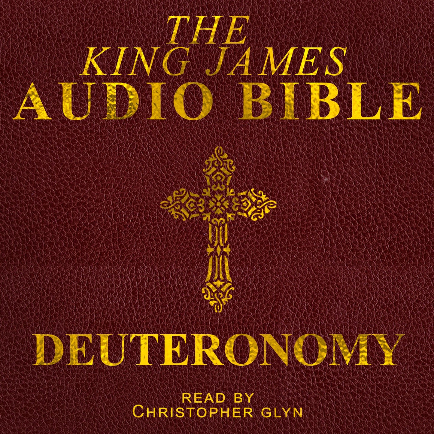 The Audio Bible: Deuteronomy: The Old Testament