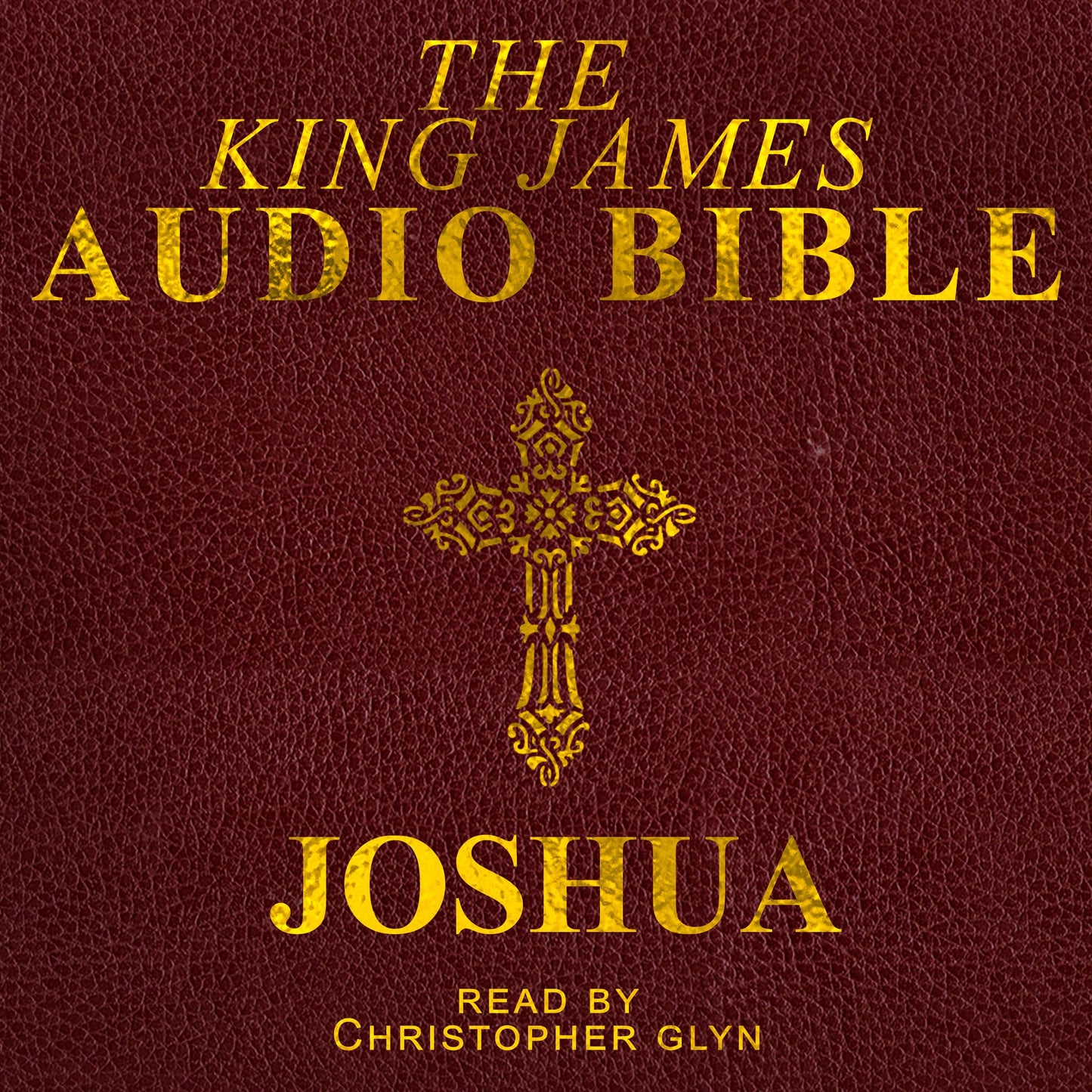 The Audio Bible: Joshua: The Old Testament