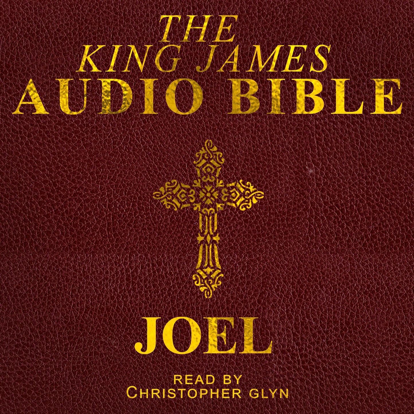 The Audio Bible: Joel: The Old Testament