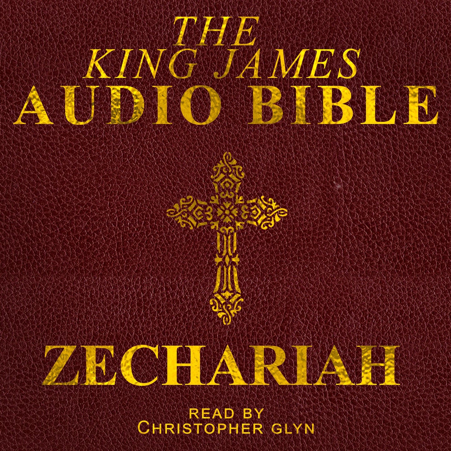 King James Audio Bible, The -- Zechariah, Book 38: Old Testament