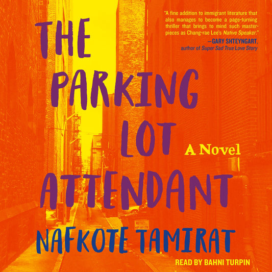 The Parking Lot Attendant : A Novel