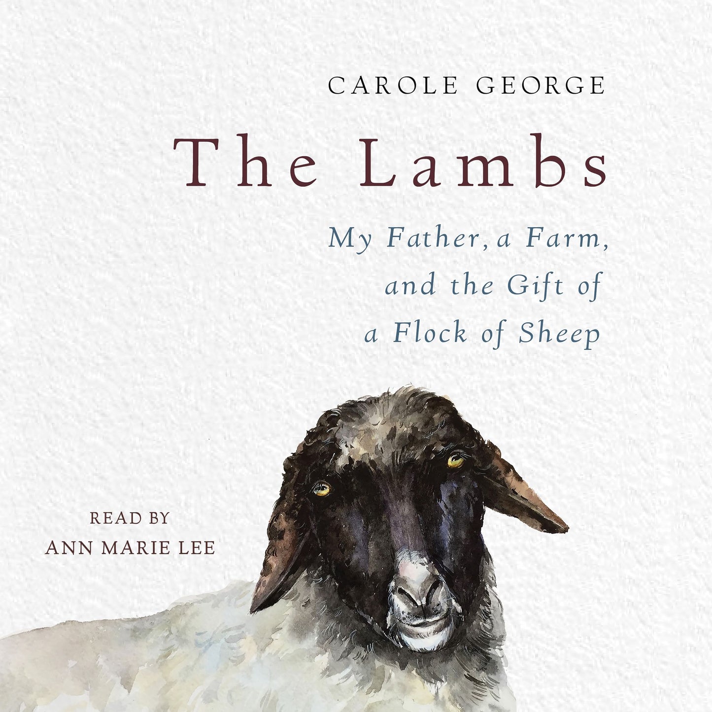 The Lambs: My Father, a Farm, and the Gift of a Flock of Sheep