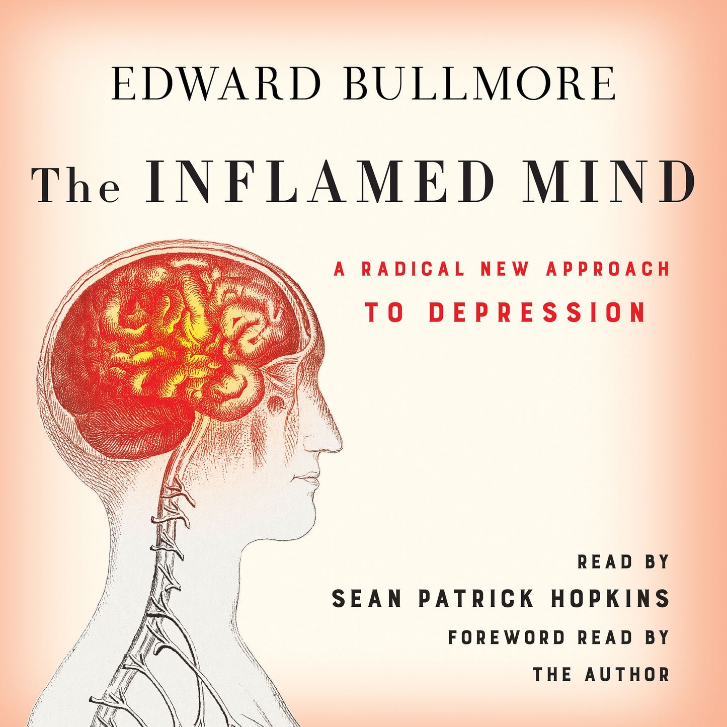 The Inflamed Mind : A Radical New Approach to Depression