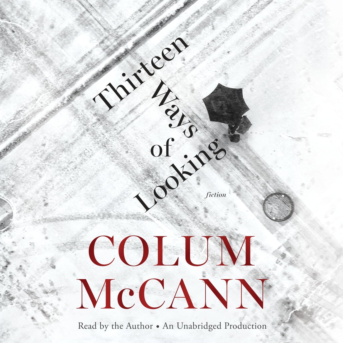 Thirteen Ways of Looking: Fiction