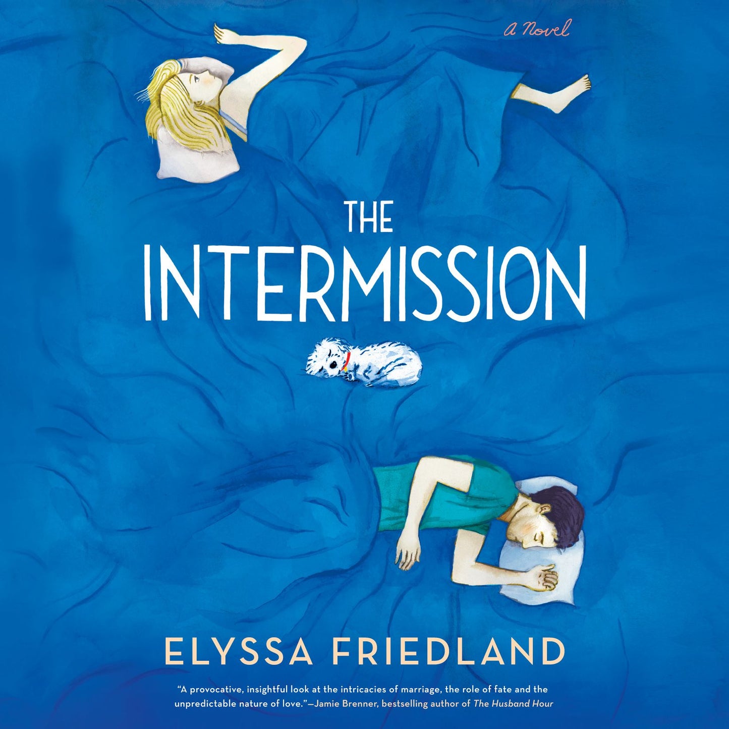 The Intermission : A Novel