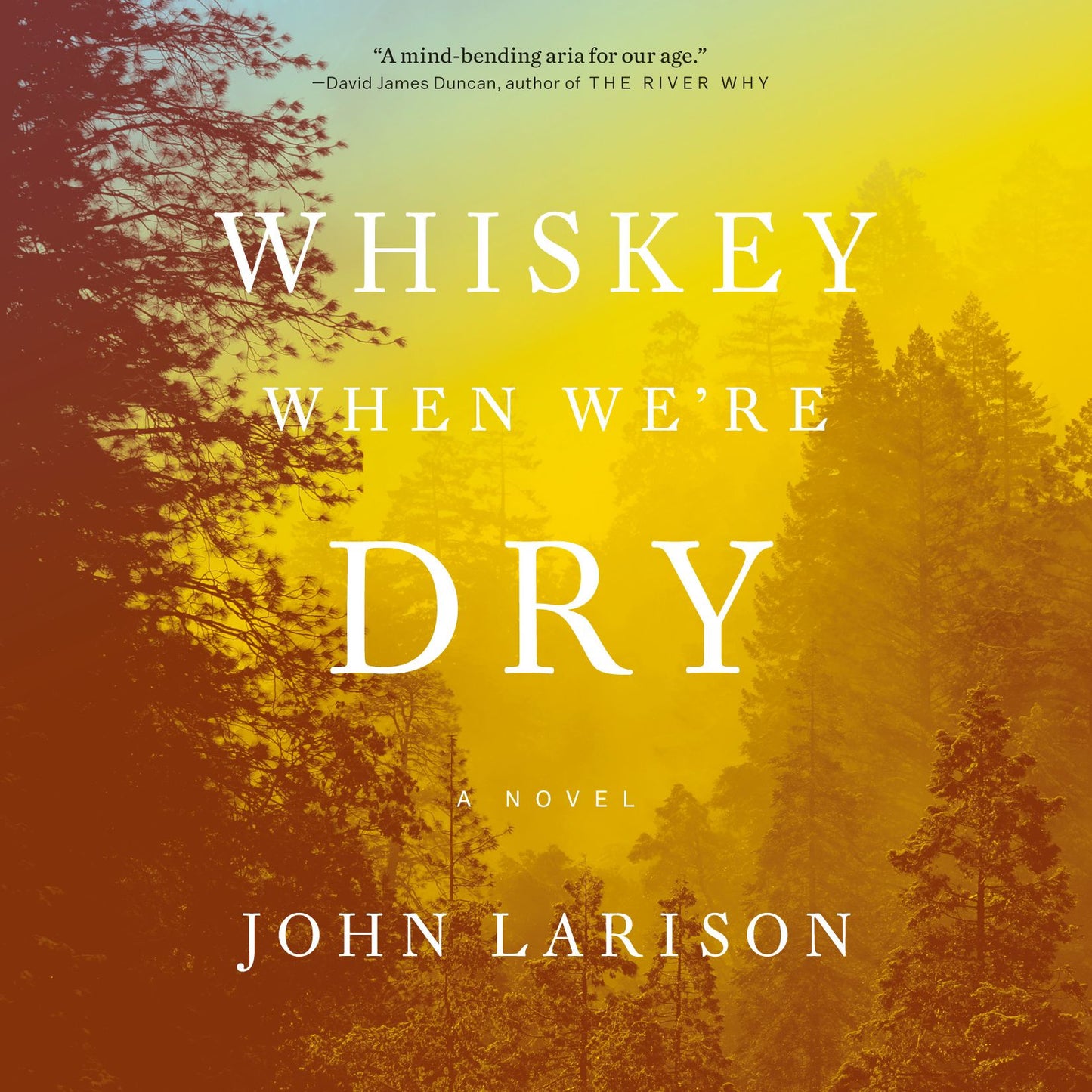 Whiskey When We're Dry : A Novel