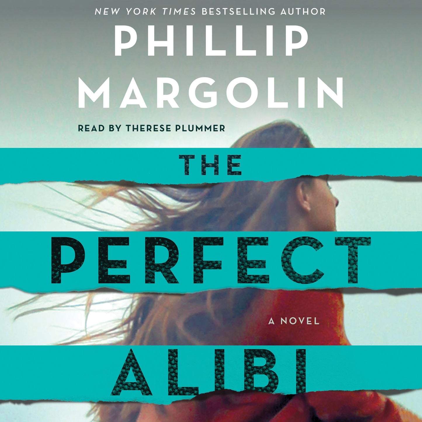 The Perfect Alibi : A Novel