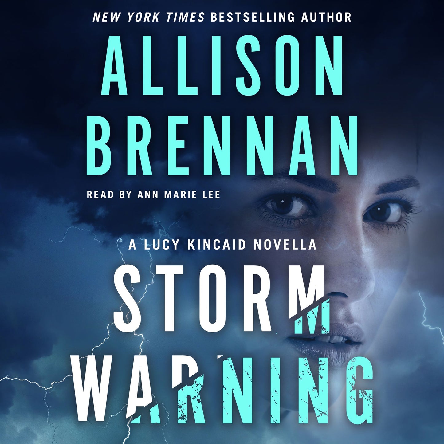 Storm Warning : A Novella