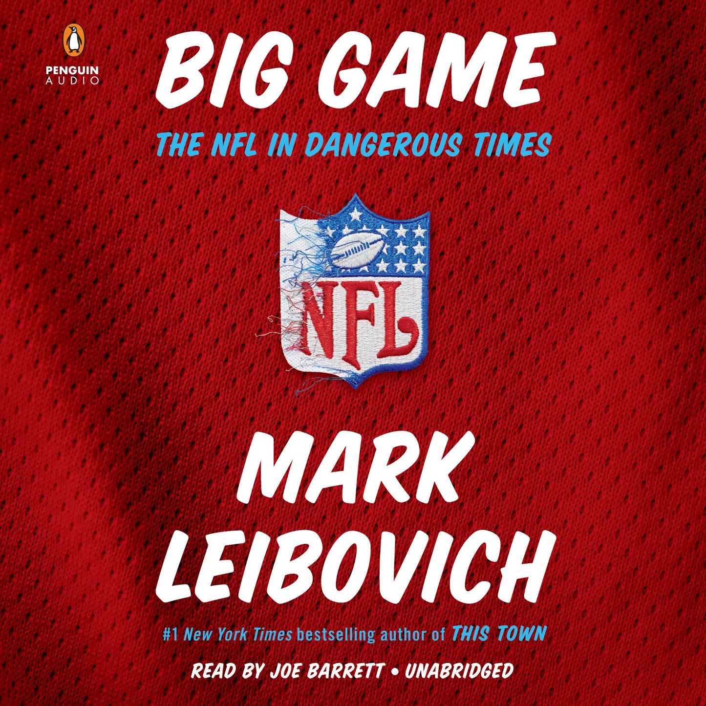 Big Game : The NFL in Dangerous Times