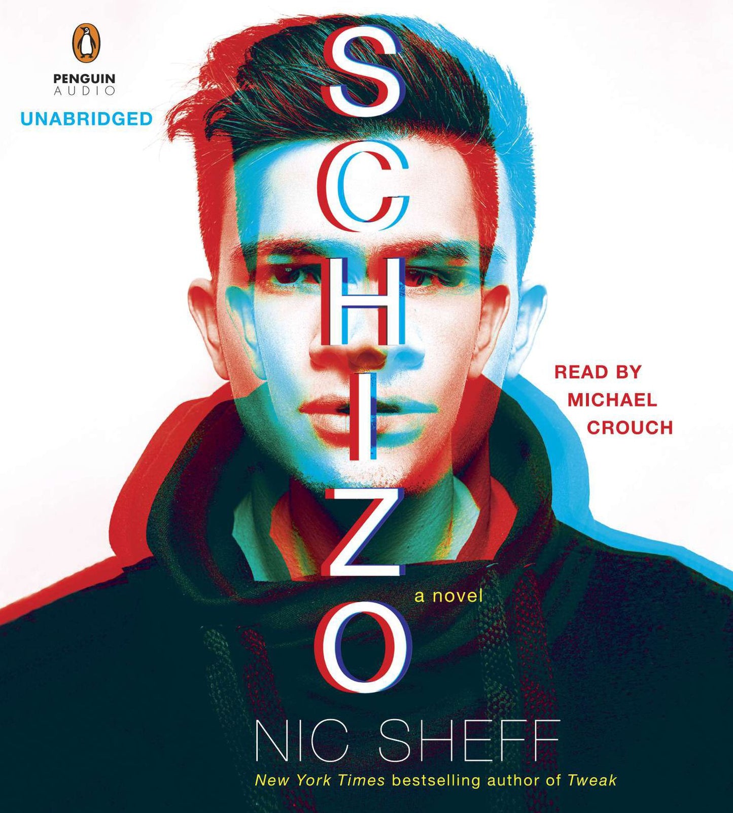 Schizo : A Novel