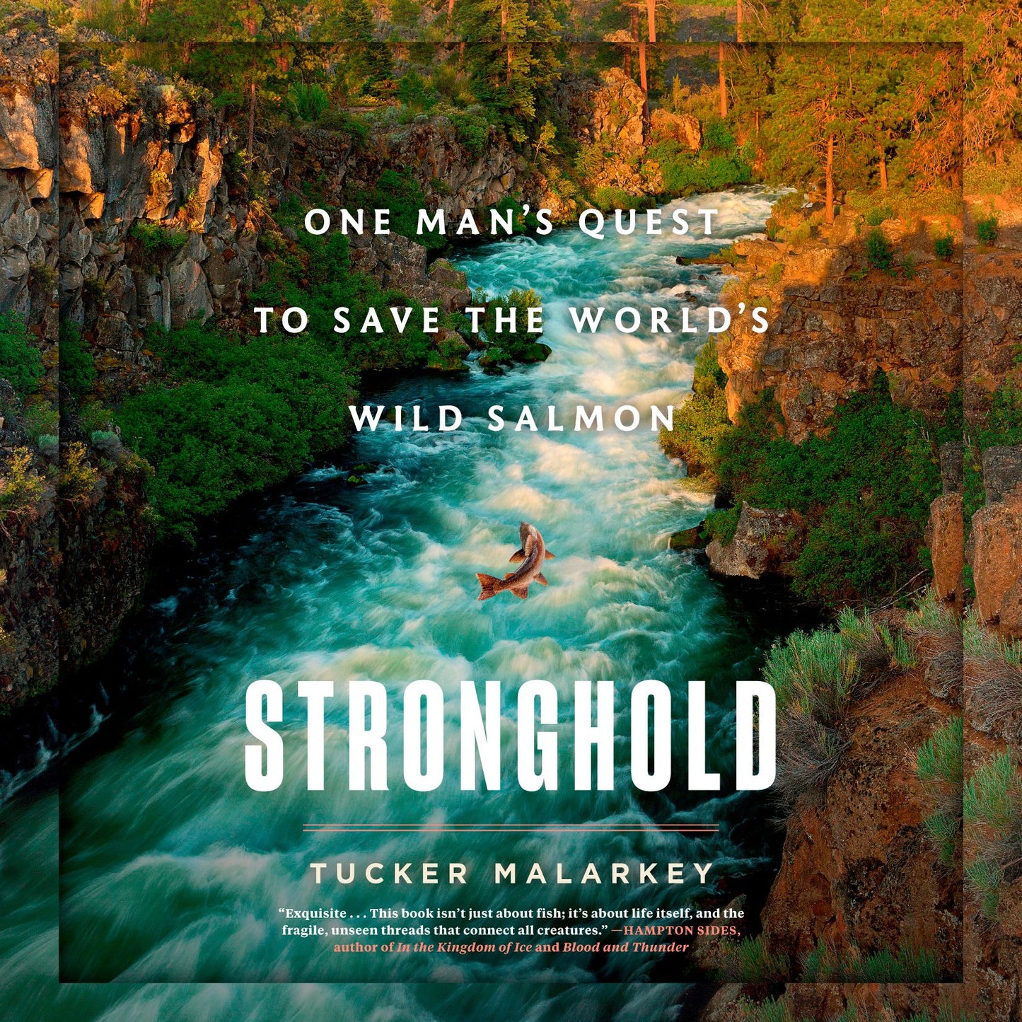 Stronghold : One Man's Quest to Save the World's Wild Salmon