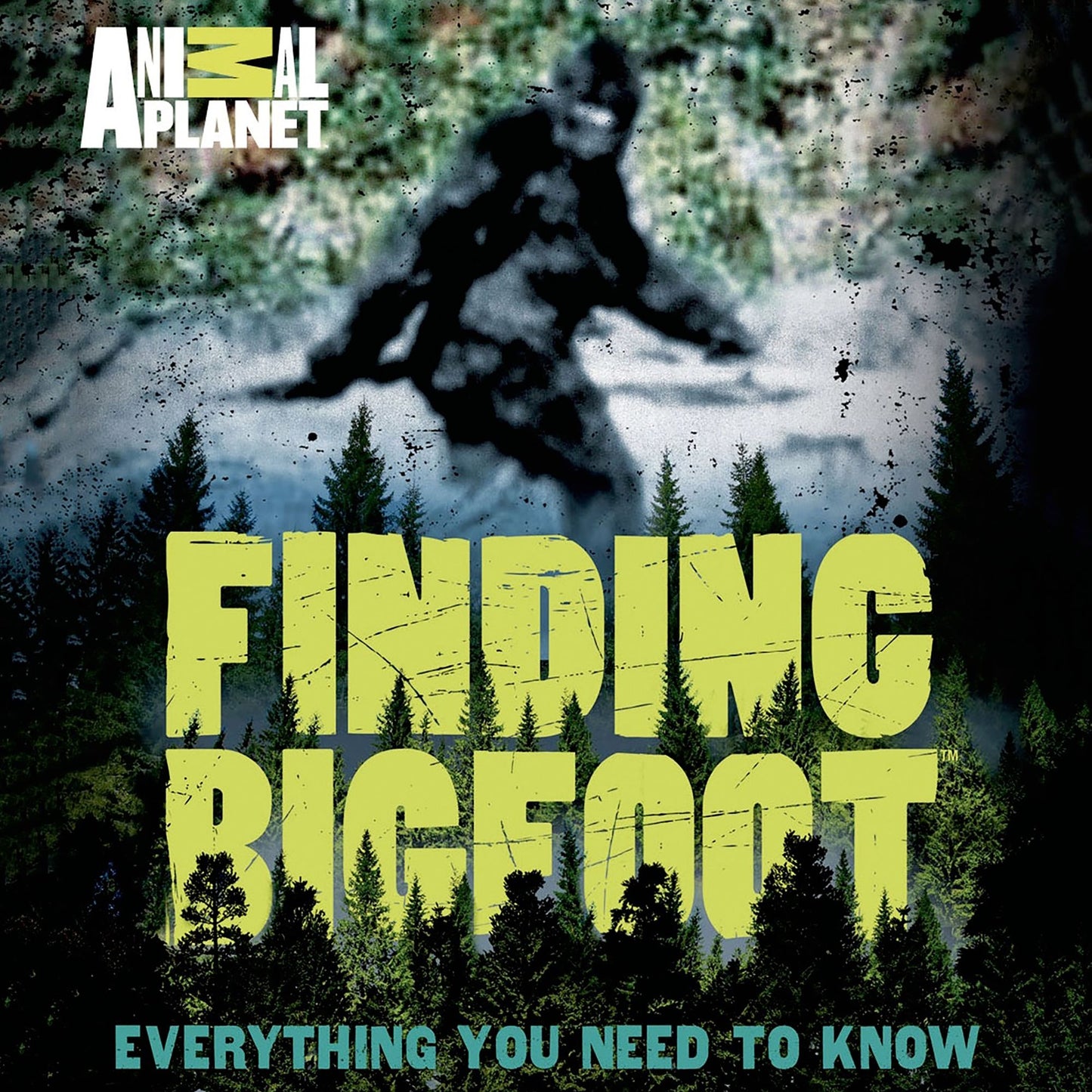 Finding Bigfoot: Everything You Need to Know