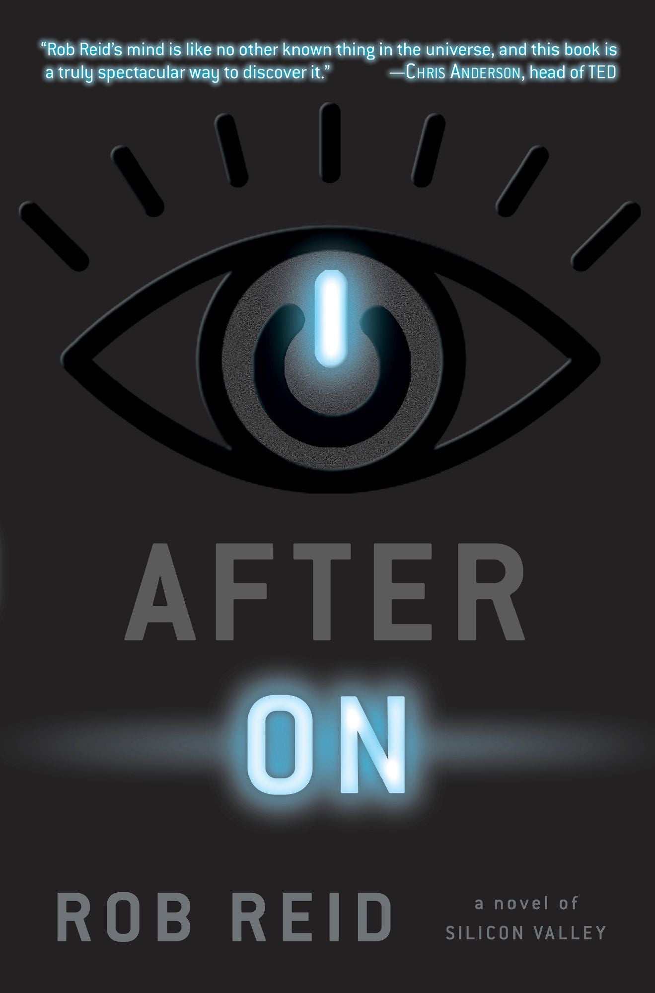 After On : A Novel of Silicon Valley