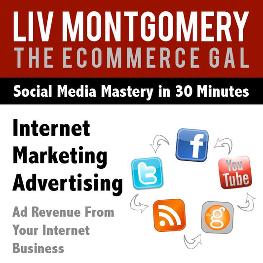 Internet Marketing Advertising : Ad Revenue From Your Internet Business
