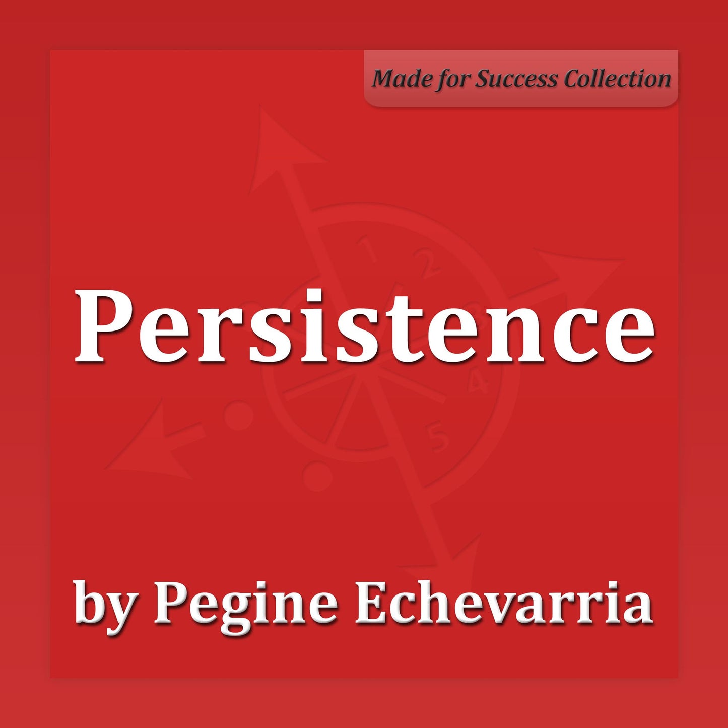 Persistence : The Art of Keeping on Keeping on