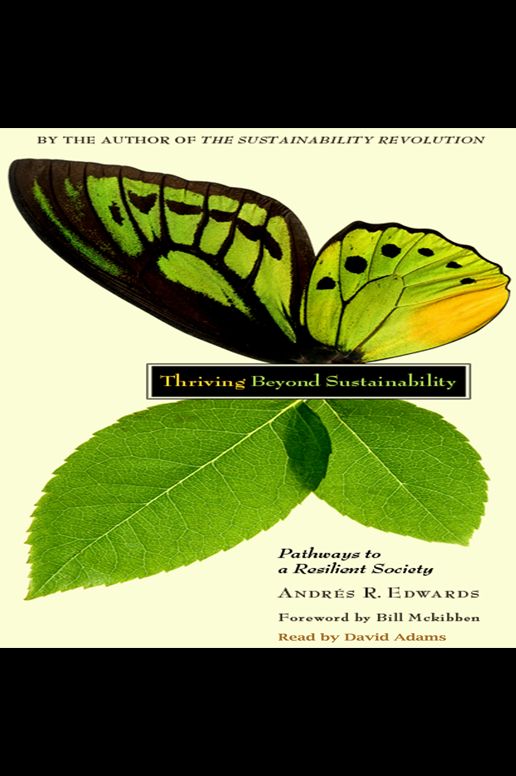 Thriving Beyond Sustainability : Pathways to a Resilient Society