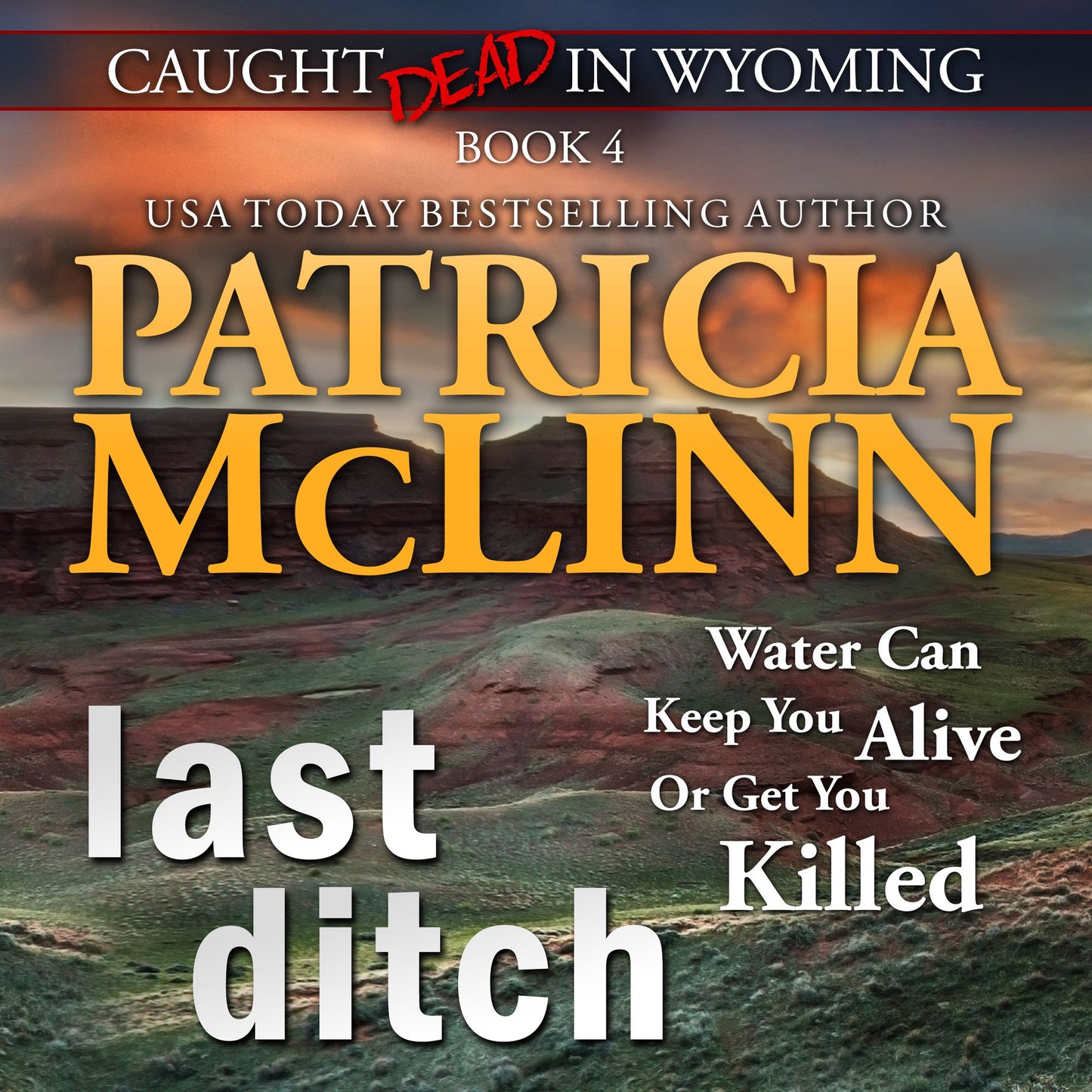 Last Ditch (Caught Dead in Wyoming, Book 4)