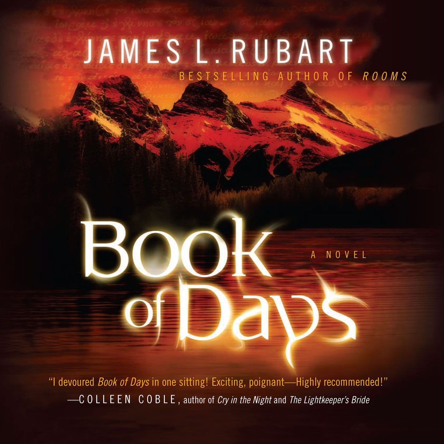 Book of Days : A Novel