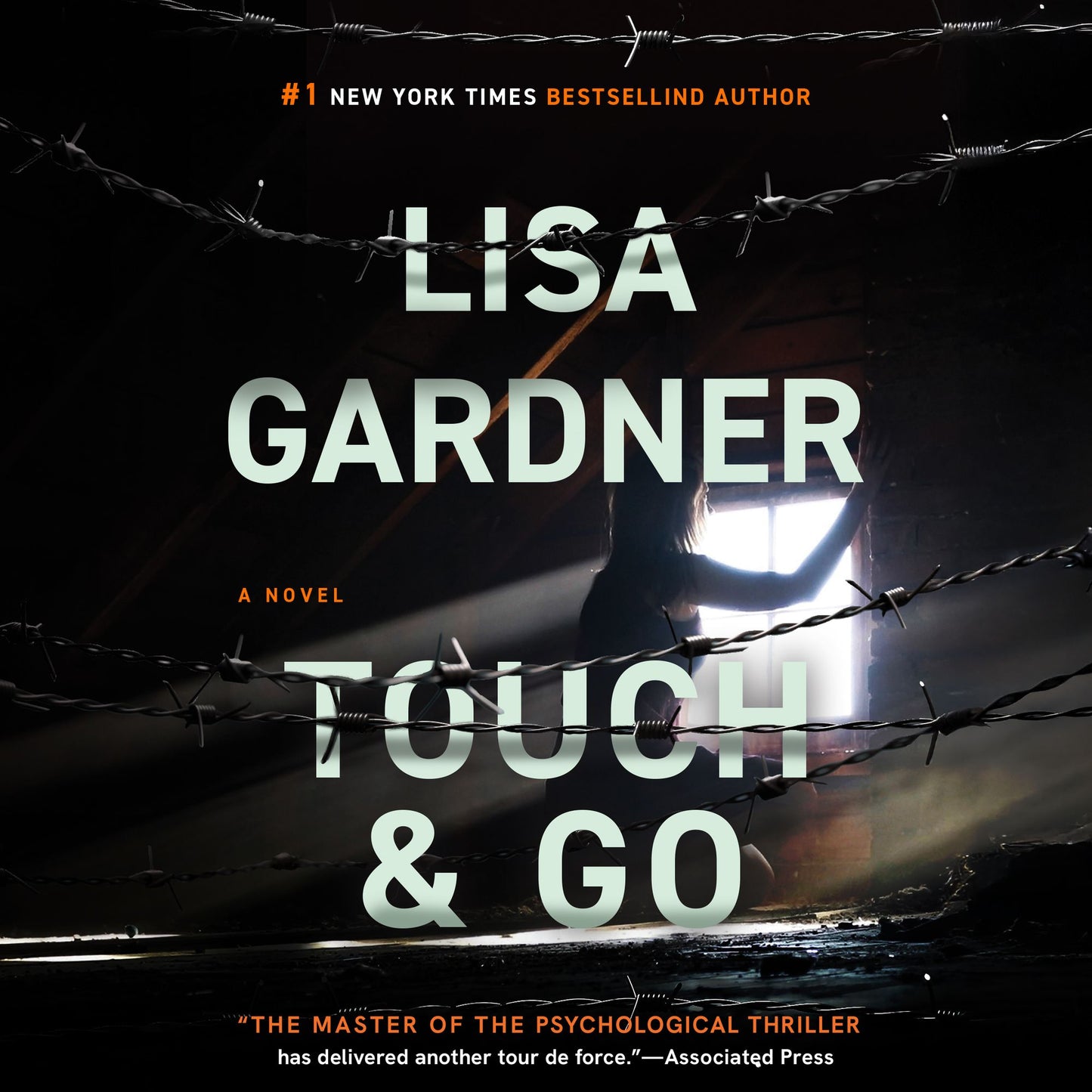 Touch & Go: A Novel