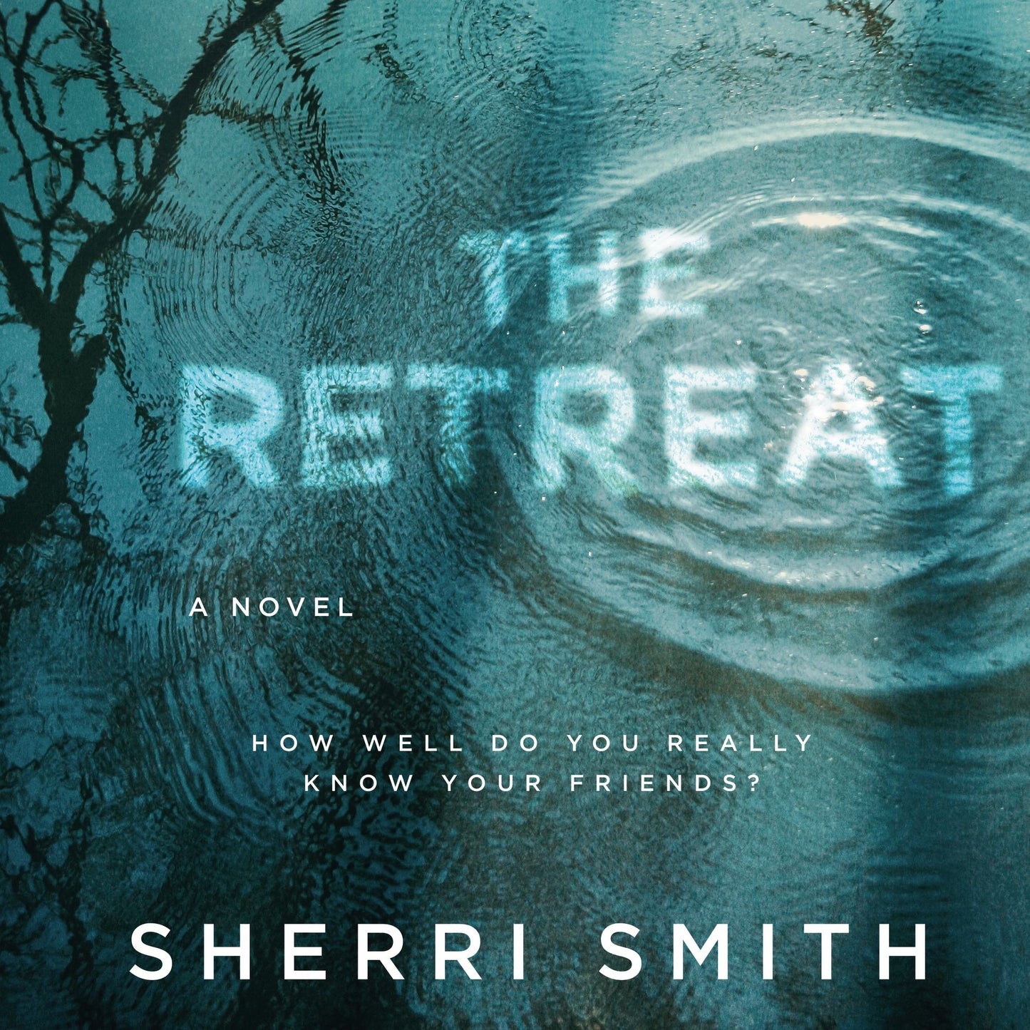 The Retreat: A Novel of Suspense